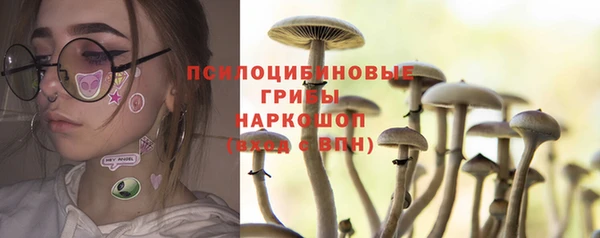 соль курить ск Алзамай