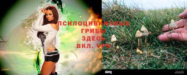 соль курить ск Алзамай